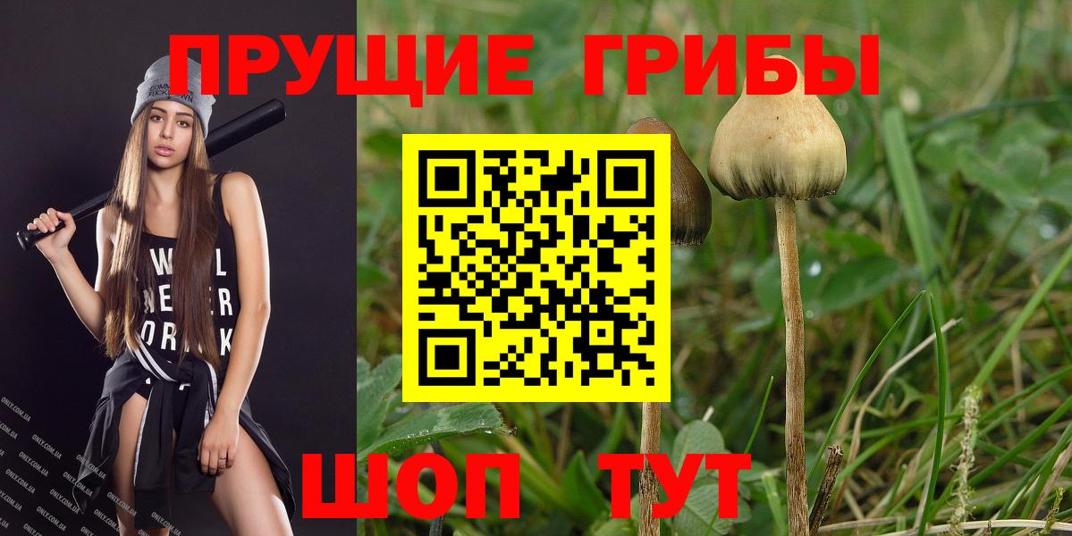 Галлюциногенные грибы GOLDEN TEACHER Юрга